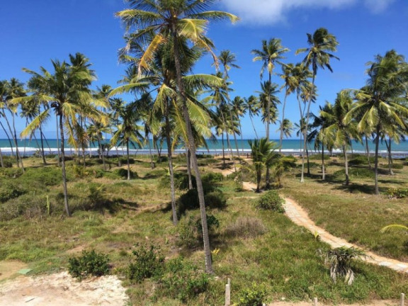 Imagem Terreno à Venda, 630 m² em Praia Do Forte - Mata De São João Imagem Terreno à Venda, 630 m² em Praia Do Forte - Mata De São João