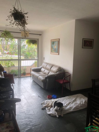 Imagem Apartamento com 3 Quartos à Venda, 82 m² em Vila Prudente - São Paulo Imagem Apartamento com 3 Quartos à Venda, 82 m² em Vila Prudente - São Paulo