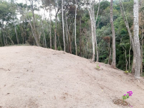 Imagem Imóvel à Venda, 28.900 m² em Zona Rural - Bom Retiro Imagem Imóvel à Venda, 28.900 m² em Zona Rural - Bom Retiro