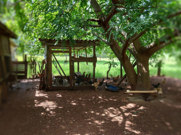 Imagem Chácara com 3 Quartos à Venda, 180 m² em Missal Imagem Chácara com 3 Quartos à Venda, 180 m² em Missal