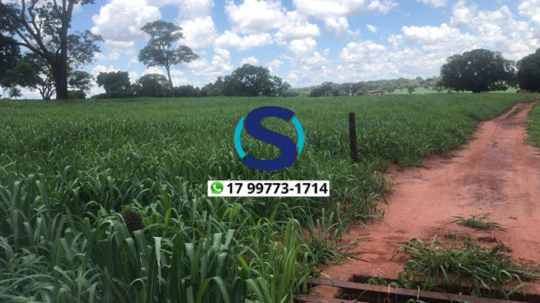 Imagem Chácara à Venda, 35 m² em Rural. - Indiaporã Imagem Chácara à Venda, 35 m² em Rural. - Indiaporã