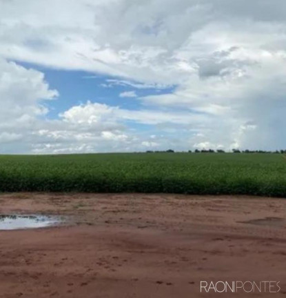 Imagem Fazenda à Venda, 2.032.800 m² em Zona Rural - Guaraci Imagem Fazenda à Venda, 2.032.800 m² em Zona Rural - Guaraci