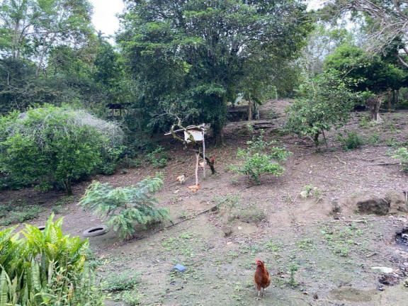 Imagem Chácara com 2 Quartos à Venda, 200 m² em Laranja Azeda - Itariri Imagem Chácara com 2 Quartos à Venda, 200 m² em Laranja Azeda - Itariri