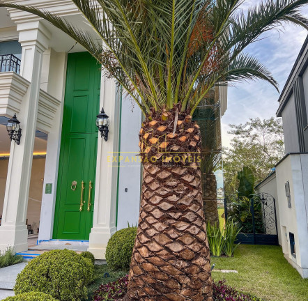 Imagem Casa com 3 Quartos à Venda, 281 m² em Pedra Branca - Palhoça Imagem Casa com 3 Quartos à Venda, 281 m² em Pedra Branca - Palhoça