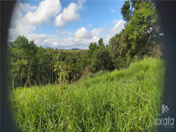 Imagem Terreno para Alugar ou Temporada, 300 m² em Residencial Centro Da Serra - Serra