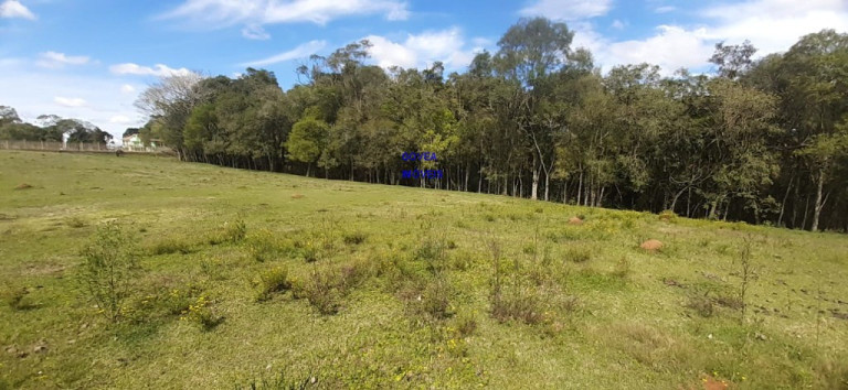 Imagem Imóvel com 3 Quartos à Venda, 24.200 m² em Rural - Contenda