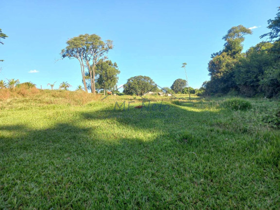 Imagem Fazenda à Venda, 65.340 m² em Bonfim - Pirassununga Imagem Fazenda à Venda, 65.340 m² em Bonfim - Pirassununga