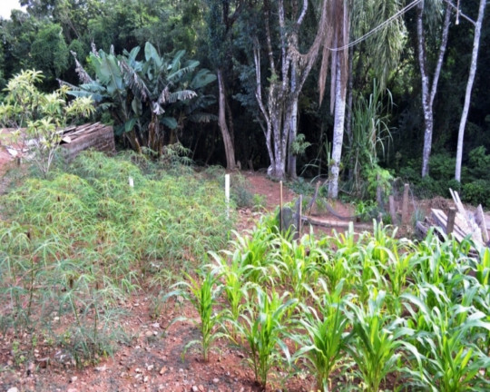 Imagem Imóvel com 2 Quartos à Venda, 90 m² em Piá - Nova Petrópolis Imagem Imóvel com 2 Quartos à Venda, 90 m² em Piá - Nova Petrópolis