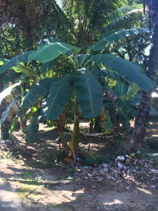Imagem Imóvel com 1 Quarto à Venda,  em Imbariê - Duque De Caxias