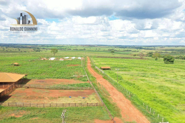 Imagem Fazenda à Venda, 18.150.000 m² em Jardim Monterey - Jales