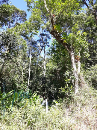 Imagem Terreno à Venda, 232.297 m² em Enseada - São Francisco Do Sul Imagem Terreno à Venda, 232.297 m² em Enseada - São Francisco Do Sul