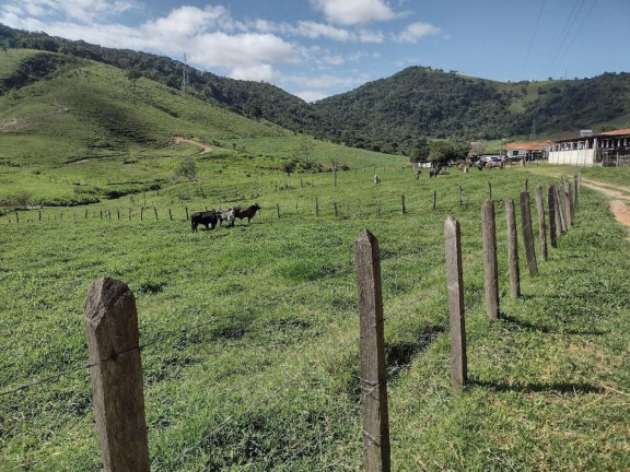 Imagem Fazenda à Venda, 100 m² em Zona Rural - Itamonte