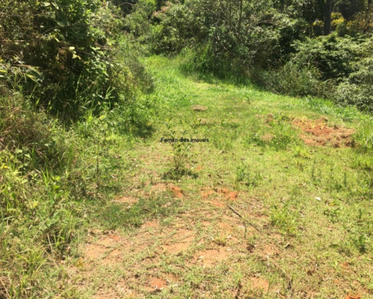 Imagem Chácara com 3 Quartos à Venda, 100 m² em Jundiaizinho (terra Preta) - Mairiporã Imagem Chácara com 3 Quartos à Venda, 100 m² em Jundiaizinho (terra Preta) - Mairiporã