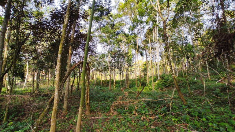Imagem Imóvel à Venda,  em Entrada Do Moura Canelinha Sc - Canelinha