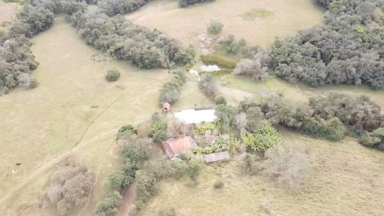 Imagem Imóvel com 2 Quartos à Venda, 29 m² em Pessegueiros - Campestre Imagem Imóvel com 2 Quartos à Venda, 29 m² em Pessegueiros - Campestre