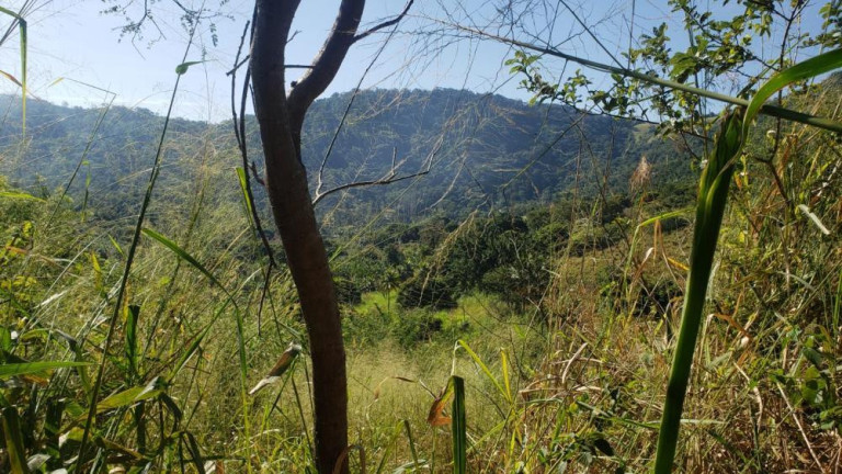 Imagem Terreno à Venda, 3.100 m² em Guaratiba - Rio De Janeiro