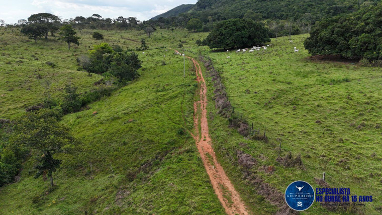 Imagem Fazenda à Venda, 37 m² em Zona Rural - Anápolis Imagem Fazenda à Venda, 37 m² em Zona Rural - Anápolis