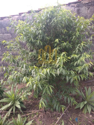 Imagem Terreno à Venda, 1.100 m² em Veraneio Ijal - Jacareí Imagem Terreno à Venda, 1.100 m² em Veraneio Ijal - Jacareí
