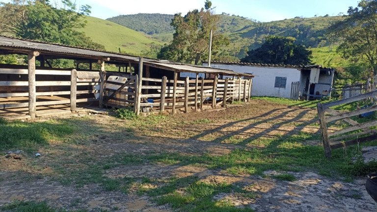 Imagem Fazenda à Venda, 100 m² em Espírito Santo - Paraibuna Imagem Fazenda à Venda, 100 m² em Espírito Santo - Paraibuna