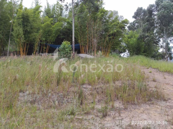 Imagem Chácara com 3 Quartos à Venda, 200 m² em Macaco - Paraibuna Imagem Chácara com 3 Quartos à Venda, 200 m² em Macaco - Paraibuna