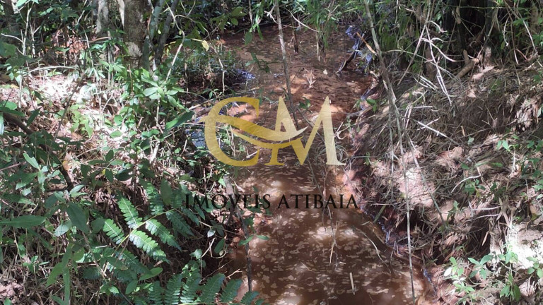 Imagem Terreno em Condomínio à Venda, 4.342 m² em Parque Rio Abaixo - Atibaia Imagem Terreno em Condomínio à Venda, 4.342 m² em Parque Rio Abaixo - Atibaia