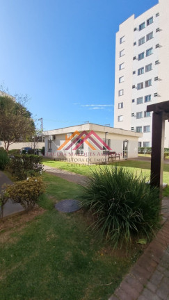 Imagem Apartamento com 2 Quartos à Venda, 47 m² em Vila Palmeiras - São Paulo