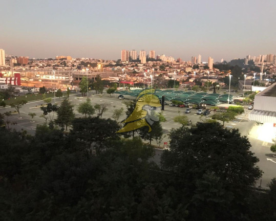 Imagem Apartamento com 3 Quartos à Venda, 64 m² em Jardim Das Vertentes - São Paulo