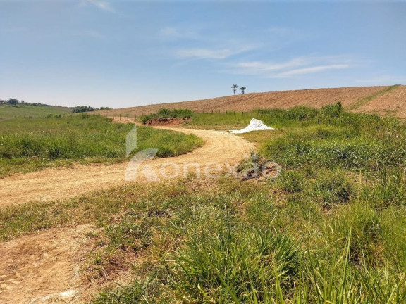 Imagem Fazenda à Venda, 150 m² em Marambaia - Caçapava Imagem Fazenda à Venda, 150 m² em Marambaia - Caçapava