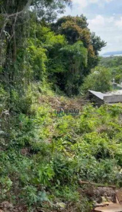 Imagem Terreno à Venda, 800 m² em Itacoatiara - Niterói