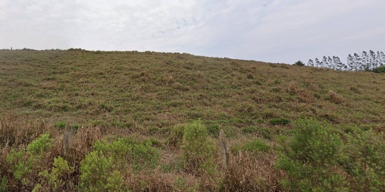 Imagem Terreno à Venda, 10.000 m² em Centro - Santa Branca