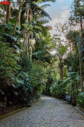 Imagem Casa com 5 Quartos à Venda, 1.300 m² em Chácara Flora - São Paulo Imagem Casa com 5 Quartos à Venda, 1.300 m² em Chácara Flora - São Paulo