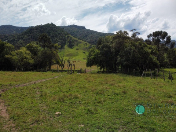Imagem Imóvel à Venda, em Interior - Bom Retiro Imagem Imóvel à Venda, em Interior - Bom Retiro