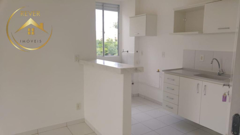 Imagem Apartamento com 2 Quartos à Venda, 50 m² em Parque Jambeiro - Campinas Imagem Apartamento com 2 Quartos à Venda, 50 m² em Parque Jambeiro - Campinas