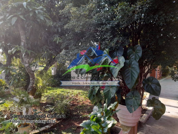 Imagem Chácara com 3 Quartos à Venda, 1.250 m² em Terra Preta (terra Preta) - Mairiporã Imagem Chácara com 3 Quartos à Venda, 1.250 m² em Terra Preta (terra Preta) - Mairiporã