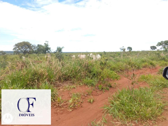 Imagem Fazenda à Venda, 3.097 m² em Rural - Chapadão Do Sul