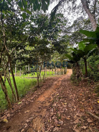 Imagem Chácara à Venda, 92.575 m² em Três Rios Do Norte - Jaraguá Do Sul