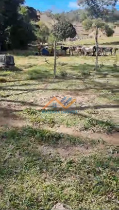 Imagem Imóvel à Venda, 15.000 m² em Zona Rural - Mesquita Imagem Imóvel à Venda, 15.000 m² em Zona Rural - Mesquita