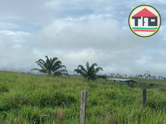 Imagem Fazenda à Venda, 9.196.000 m² em Fazenda - Breu Branco Imagem Fazenda à Venda, 9.196.000 m² em Fazenda - Breu Branco
