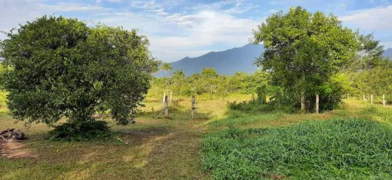 Imagem Imóvel com 2 Quartos à Venda, 111.000 m² em Alexandra - Paranagua Imagem Imóvel com 2 Quartos à Venda, 111.000 m² em Alexandra - Paranagua