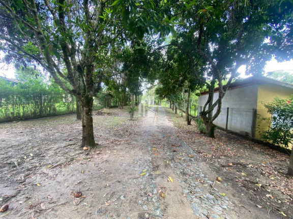 Imagem Chácara com 3 Quartos à Venda, 120 m² em Moqueta - Santa Branca Imagem Chácara com 3 Quartos à Venda, 120 m² em Moqueta - Santa Branca