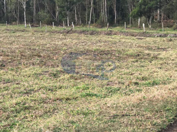 Imagem Fazenda à Venda, 120.000 m² em Jacaré - Torres