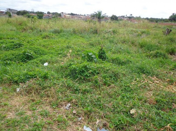 Imagem Terreno à Venda, 4 m²em Abrantes - Camaçari