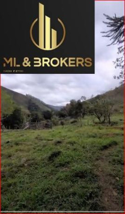 Imagem Imóvel com 2 Quartos à Venda, 24.000 m² em Pinhalzinho - Adrianopolis Imagem Imóvel com 2 Quartos à Venda, 24.000 m² em Pinhalzinho - Adrianopolis