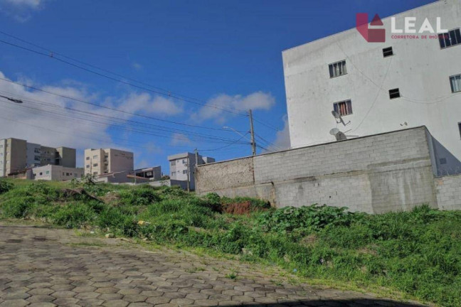 Imagem Terreno à Venda, 252 m² em Maria Guimarães Franco Rios - Pouso Alegre Imagem Terreno à Venda, 252 m² em Maria Guimarães Franco Rios - Pouso Alegre