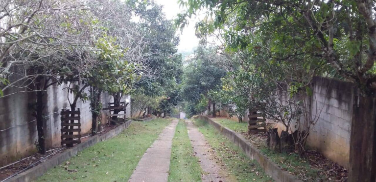 Imagem Chácara com 5 Quartos à Venda, 3.300 m² em Chácaras São José - Franco Da Rocha Imagem Chácara com 5 Quartos à Venda, 3.300 m² em Chácaras São José - Franco Da Rocha