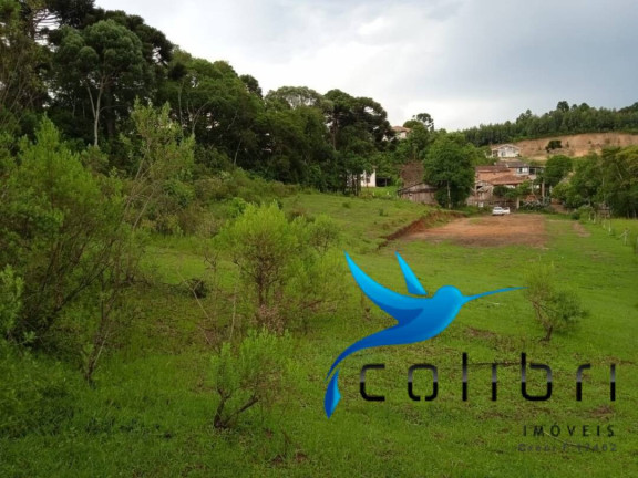 Imagem Terreno à Venda, 3.785 m² em Pinheiro Ocado - Agudos Do Sul Imagem Terreno à Venda, 3.785 m² em Pinheiro Ocado - Agudos Do Sul