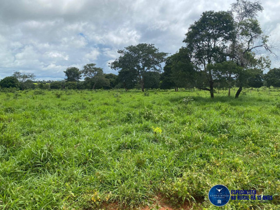 Imagem Fazenda à Venda, 30 m² em Zona Rural - Jussara Imagem Fazenda à Venda, 30 m² em Zona Rural - Jussara