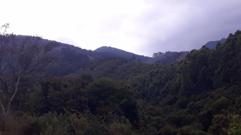 Imagem Fazenda à Venda, 120 m² em Centro - Passa Quatro Imagem Fazenda à Venda, 120 m² em Centro - Passa Quatro