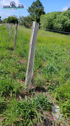 Imagem Terreno à Venda, 1.550 m² em águas Claras - Viamão
