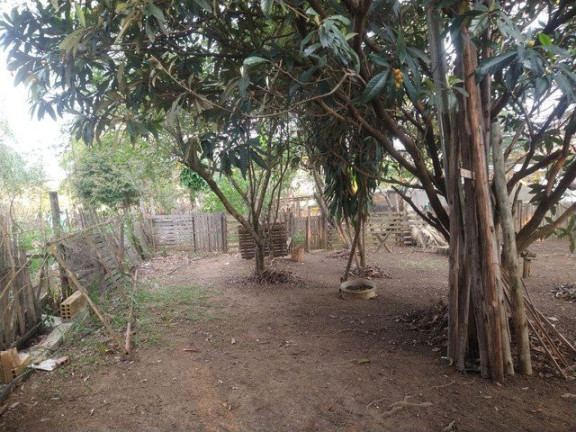 Imagem Fazenda à Venda, 3.000 m² em Jardim Santa Luzia - Guaratinguetá